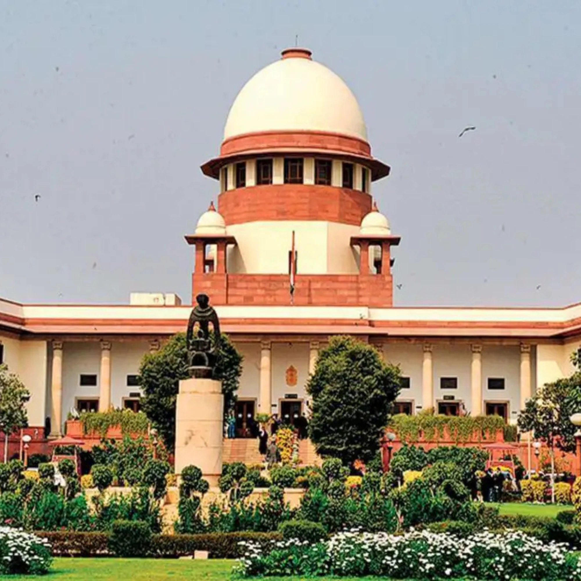 Legal expert for appeals and Special Leave Petitions (SLP) before the Supreme Court