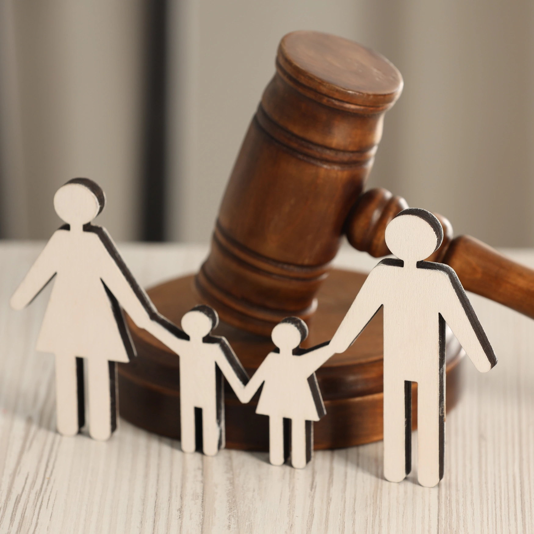 Legal expert for guardianship and maintenance claims in Delhi