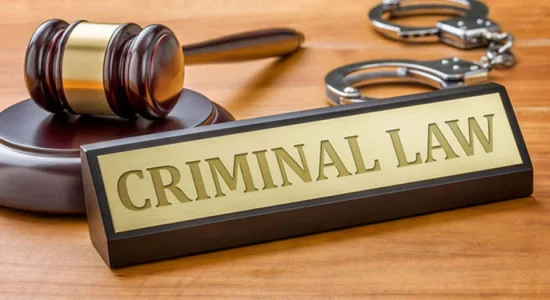 Understanding Criminal Law and Cases Understanding Criminal Law and Cases